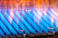 Bolventor gas fired boilers